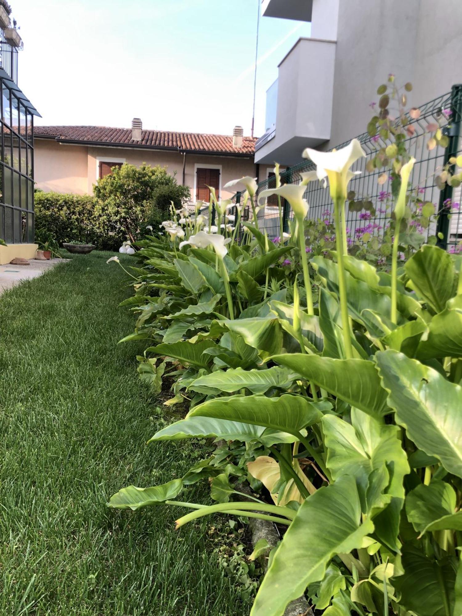 Apartment Casa Sivori Sul Di Garda Con Ampio Giardino Desenzano del Garda